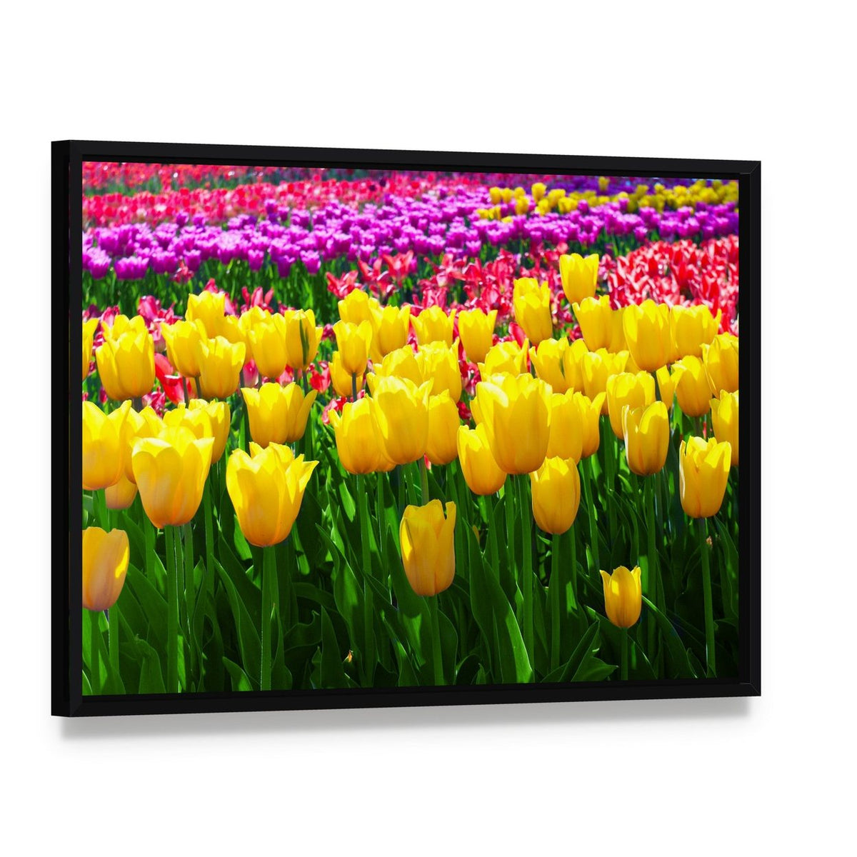 Tulips Field Yellow Flowers Canvas Wall Art, framed canvas in a black floater frame, angled product view
