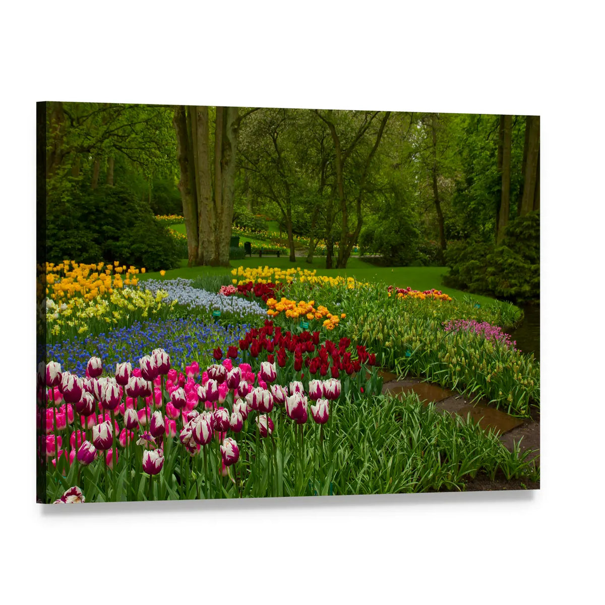 Spring Tulip Garden Blooms Canvas Wall Art, single panel gallery wrapped canvas, angled product view