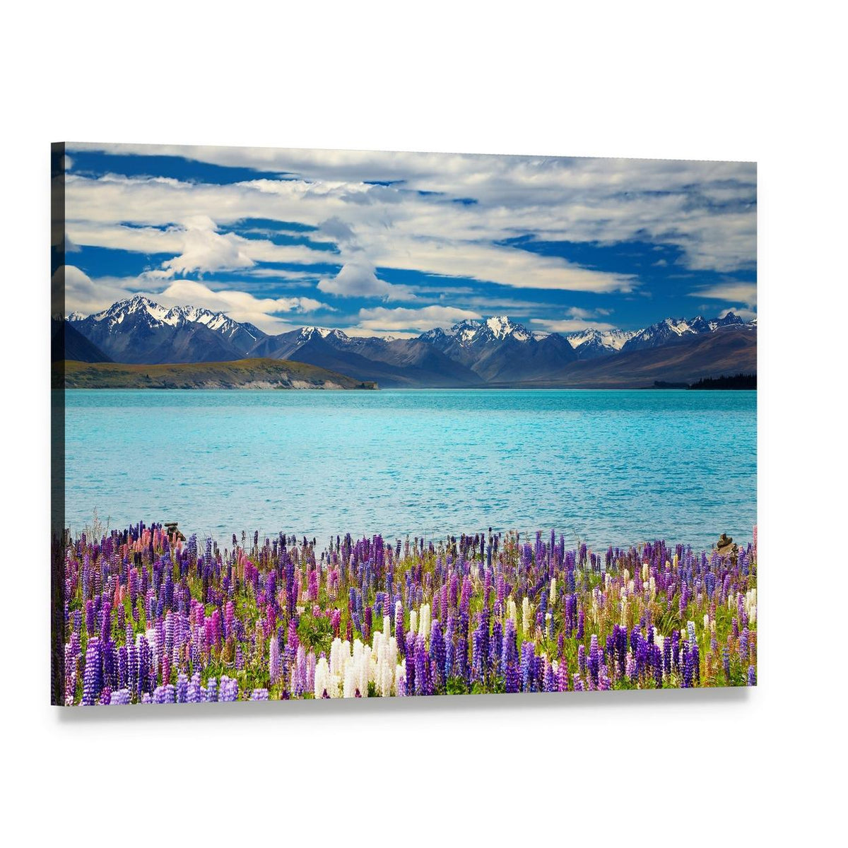 Lake Tekapo with Lupine and Snowy Mountains Canvas Wall Art, single panel gallery wrapped canvas, angled product view