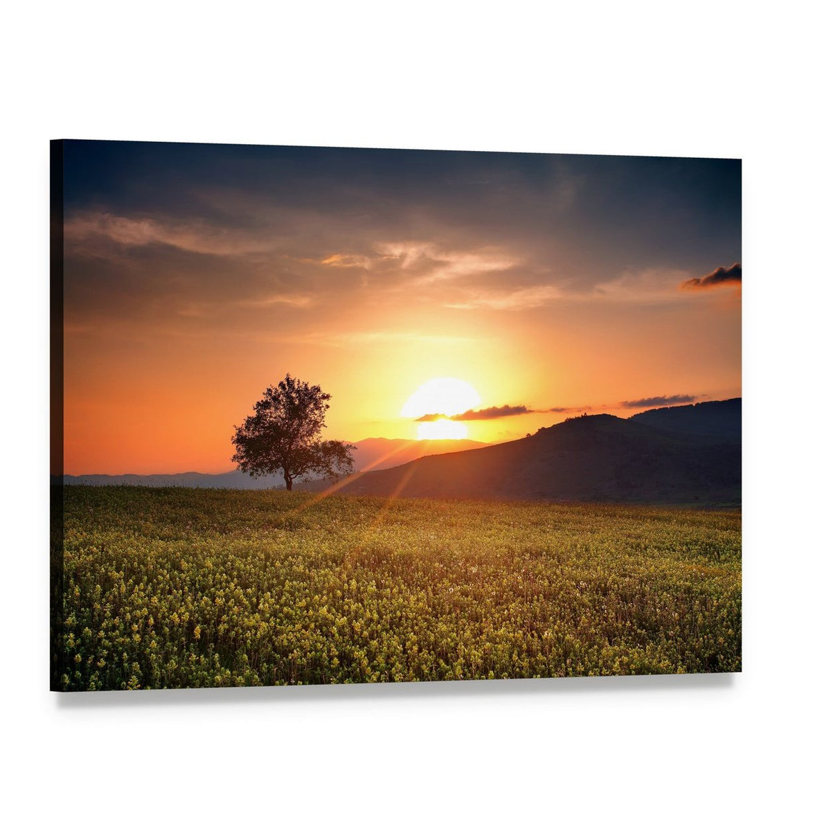 Sunset Over Flower Field with Lone Tree Canvas Wall Art, single panel gallery wrapped canvas, angled product view