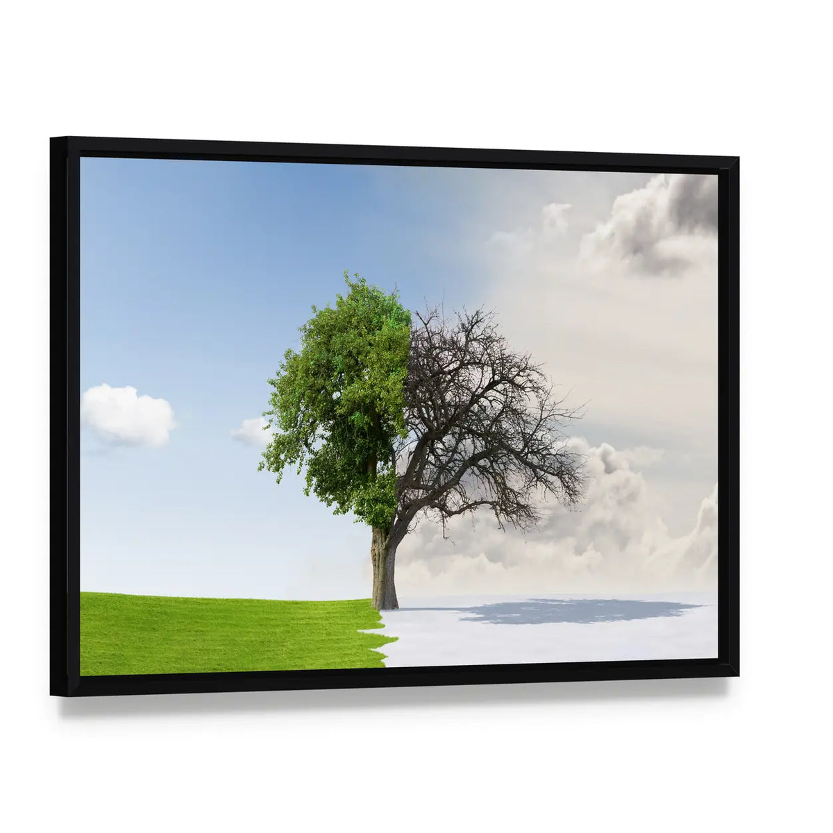 Tree Split Between Summer and Winter Canvas Wall Art, framed canvas in a black floater frame, angled product view