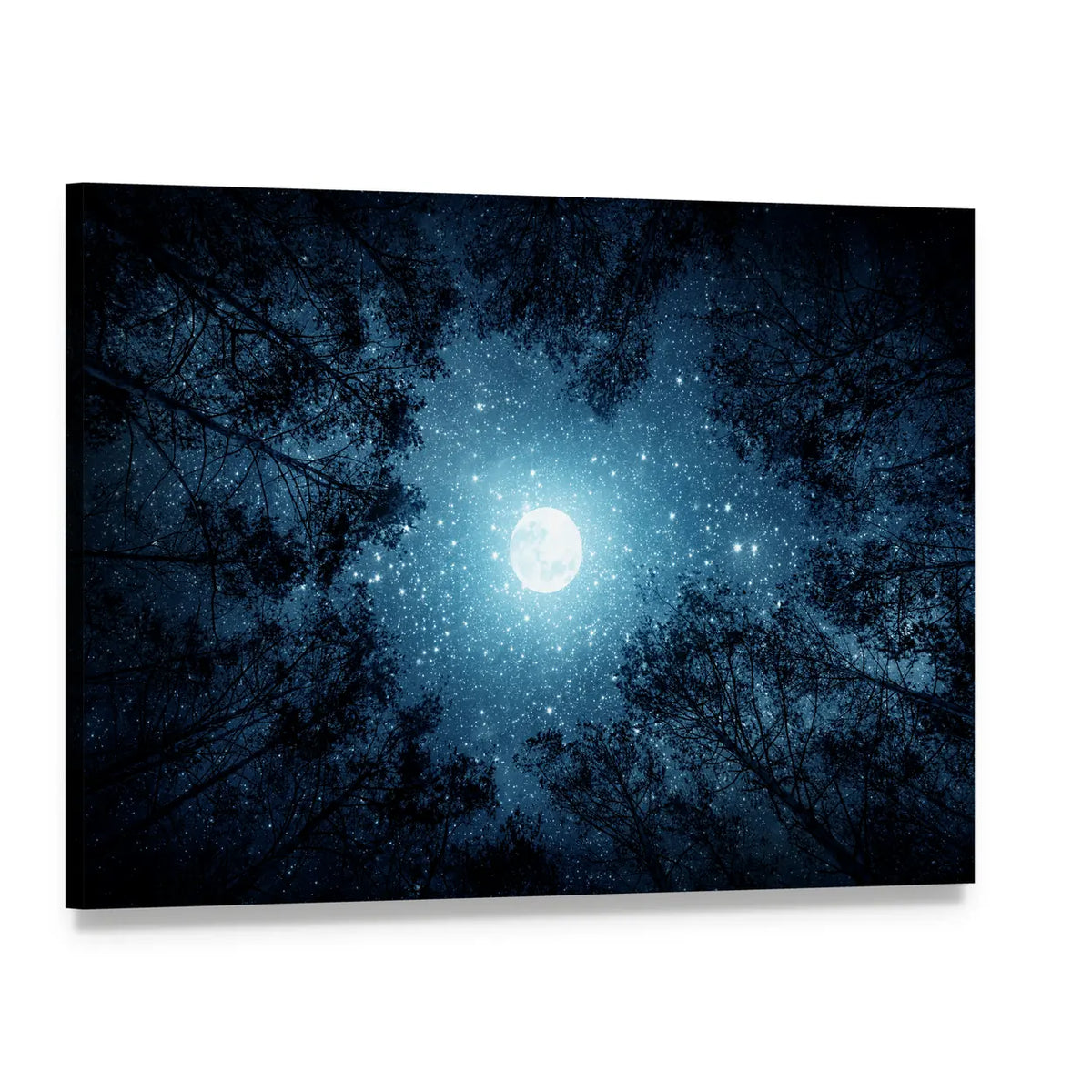 Milky Way And Moon From Forest Trees Canvas Wall Art, single panel gallery wrapped canvas, angled product view