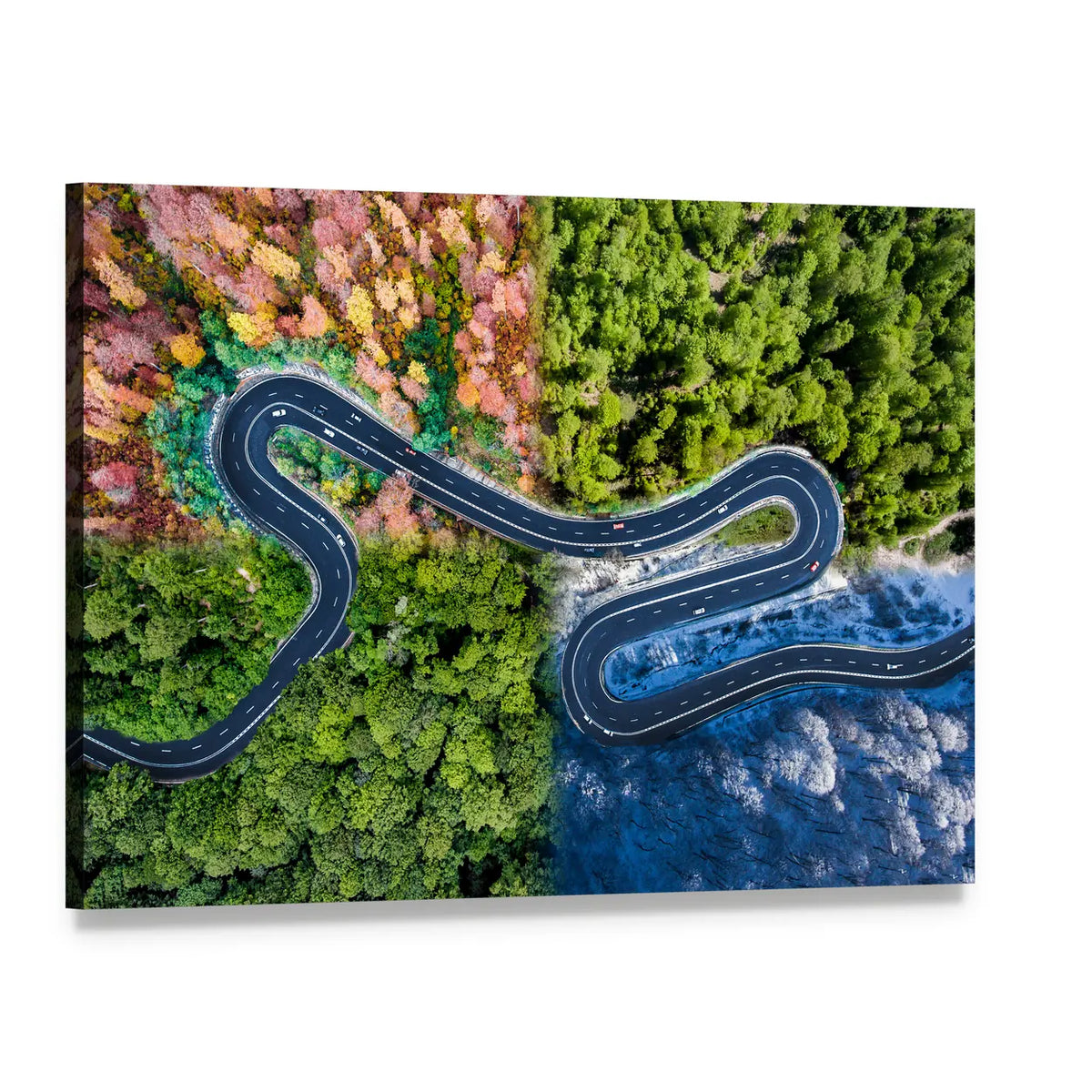 Highway Through The Forest Canvas Wall Art, single panel gallery wrapped canvas, angled product view