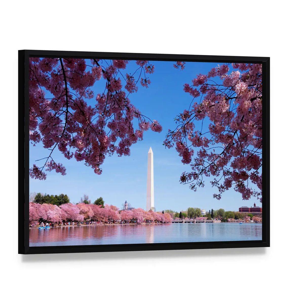 Cherry Blossom And Washington Monument Over Lake Canvas Wall Art, framed canvas in a black floater frame, angled product view