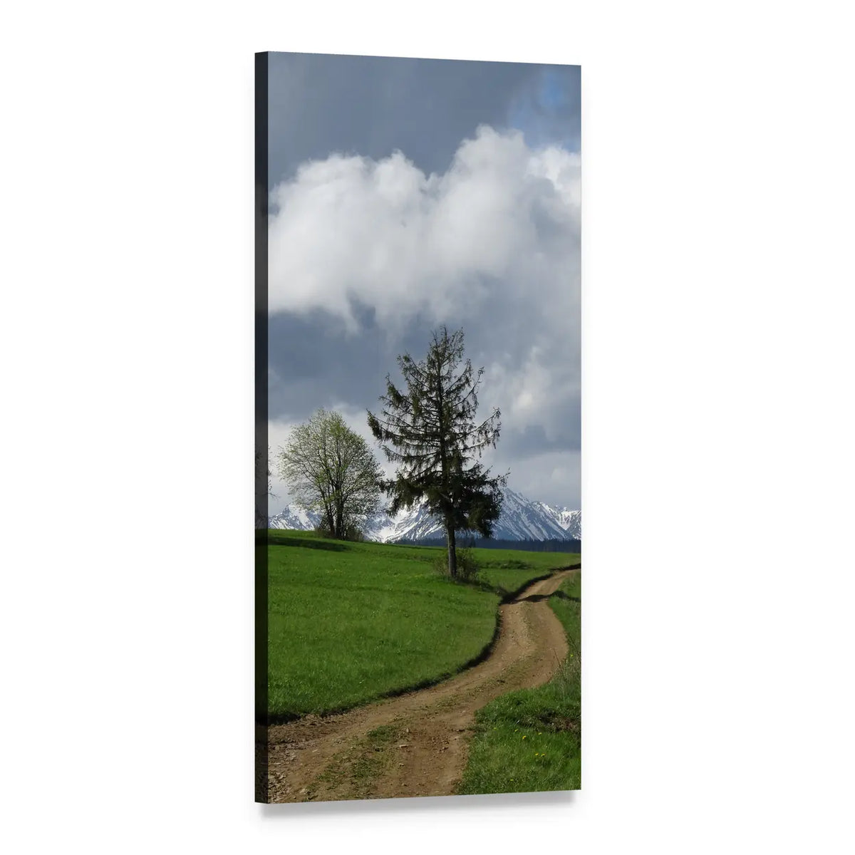 Winding Path in Tatra Bukovina Vertical Canvas Wall Art, 1 panel 1 Vertical layout gallery wrapped canvas set, angled product view