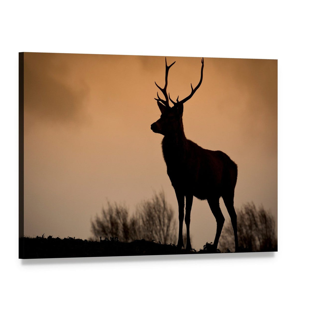 Red Deer Stag Silhouette Canvas Wall Art, single panel gallery wrapped canvas, angled product view