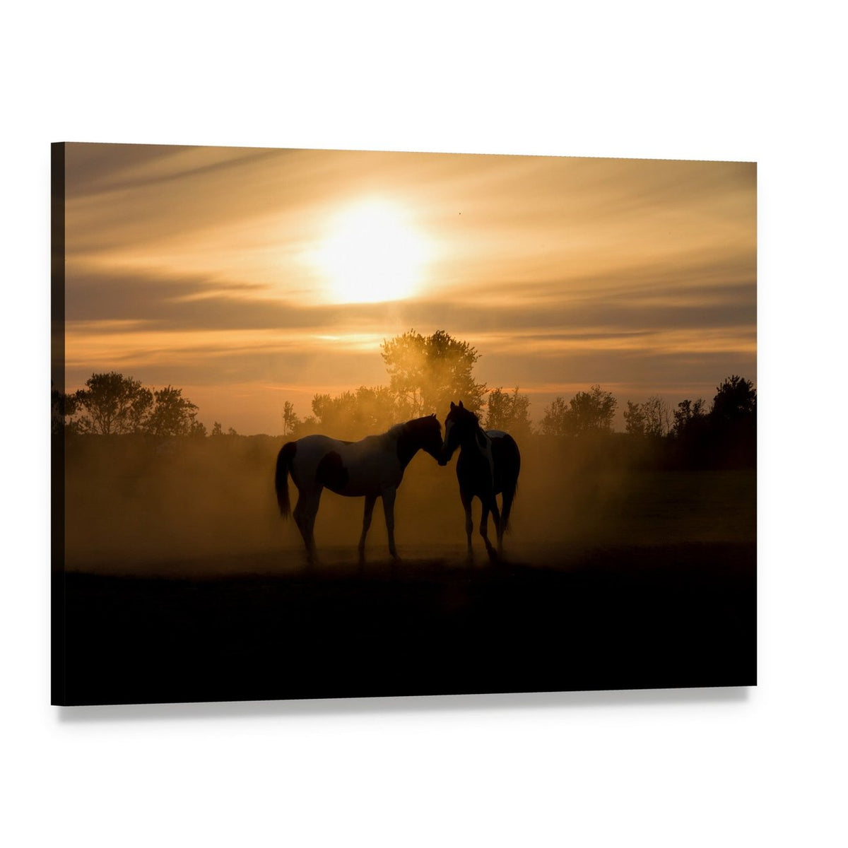 Horses in Love Canvas Wall Art, single panel gallery wrapped canvas, angled product view