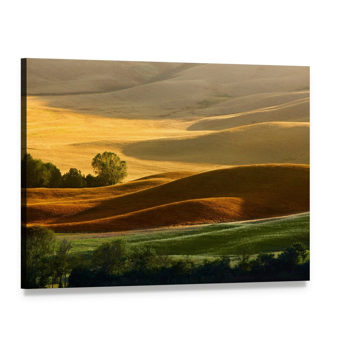 Golden Countryside Landscape with Rolling Hills Canvas Wall Art, single panel gallery wrapped canvas, angled product view