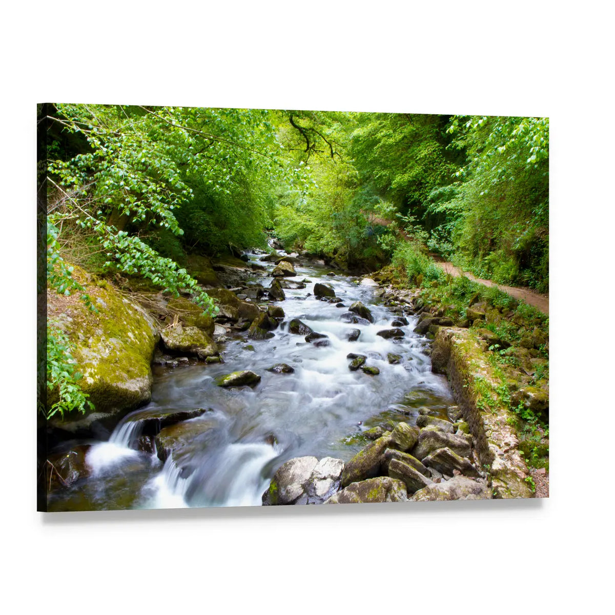 Rocky Stream with Moss-covered Stones Canvas Wall Art, single panel gallery wrapped canvas, angled product view
