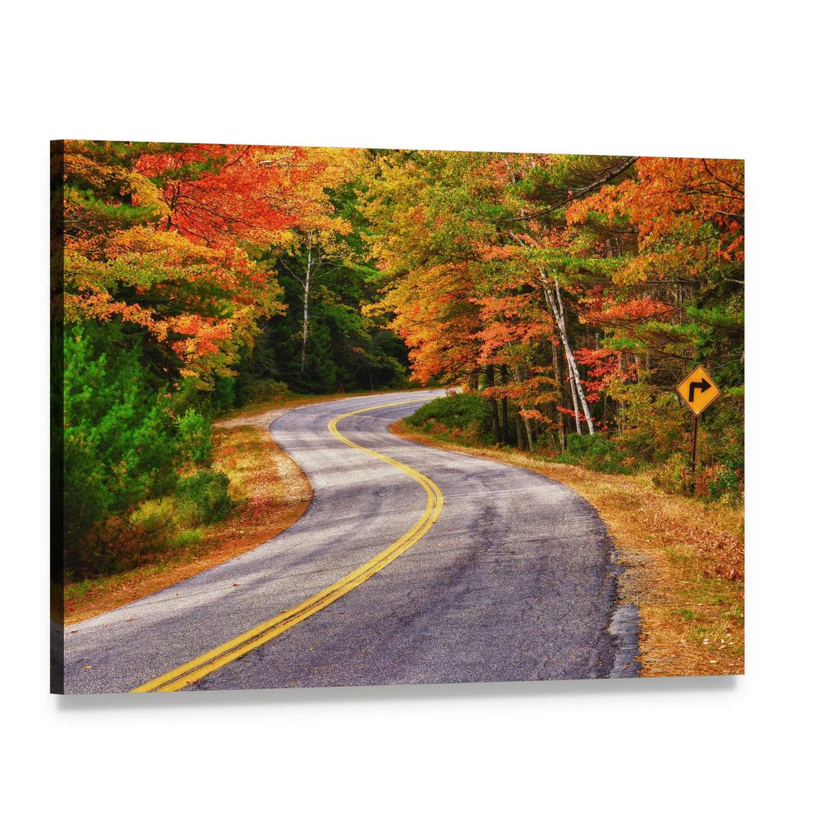 Winding Road Through Autumn Trees Canvas Wall Art, single panel gallery wrapped canvas, angled product view