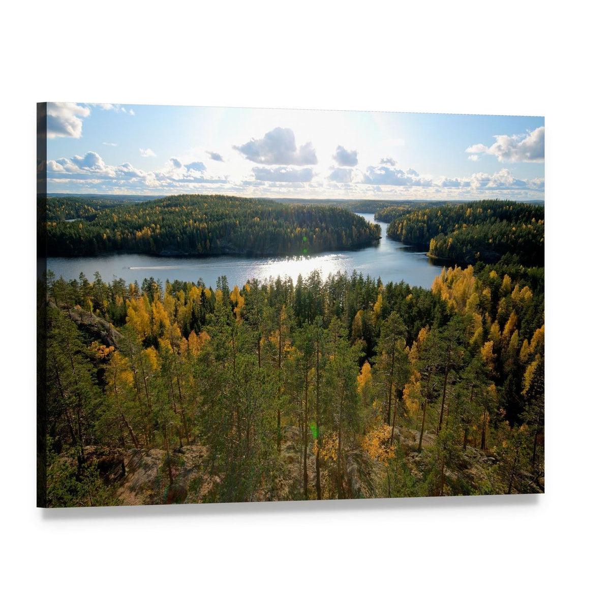 Repovesi National Park Lake in Autumn Canvas Wall Art, single panel gallery wrapped canvas, angled product view