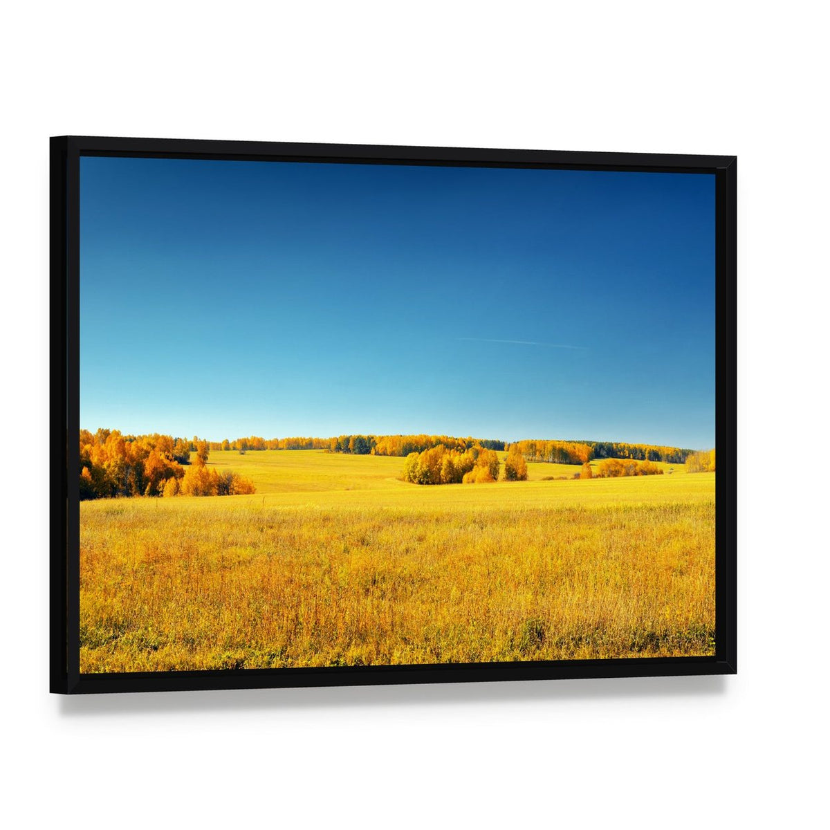 Yellow Field and Blue Sky Canvas Wall Art, framed canvas in a black floater frame, angled product view