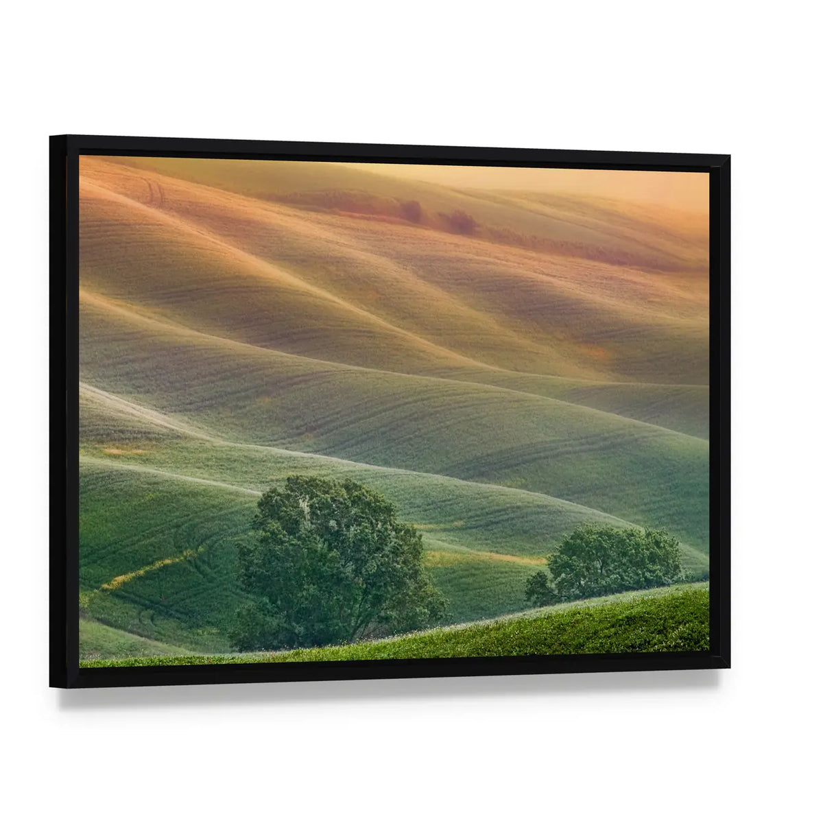 Tuscany Rolling Hills at Golden Hour Canvas Wall Art, framed canvas in a black floater frame, angled product view