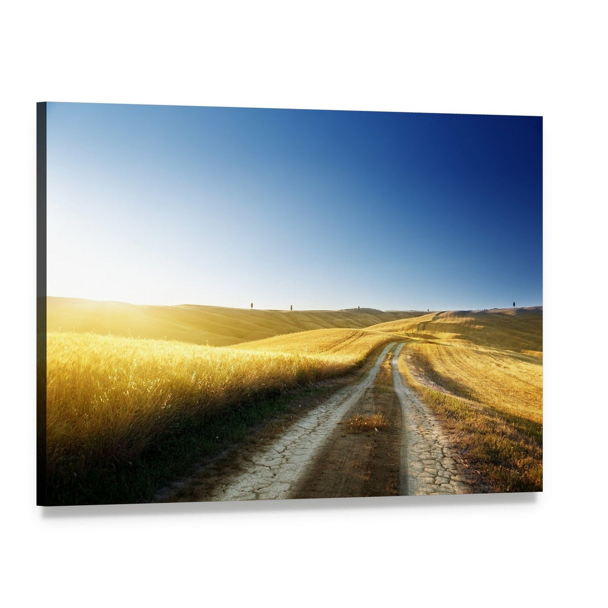 Tuscan Road at Sunset Canvas Wall Art, single panel gallery wrapped canvas, angled product view