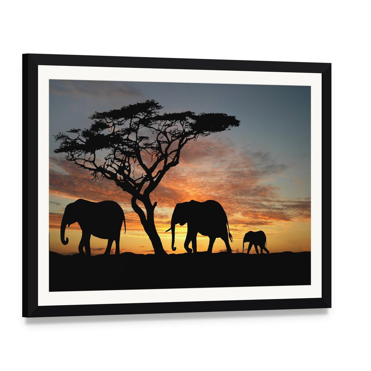 Herd of Elephants at Sunset Canvas Wall Art, framed print with white mat and black frame, angled product view
