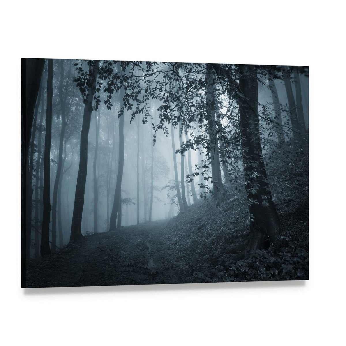 Dark Foggy Forest Canvas Wall Art, single panel gallery wrapped canvas, angled product view