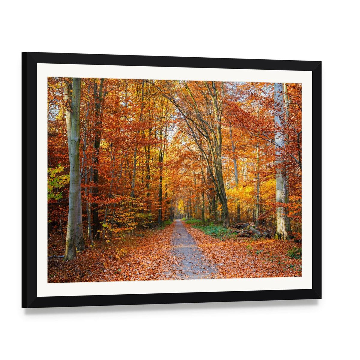 Pathway Through the Autumn Forest Canvas Wall Art, framed print with white mat and black frame, angled product view