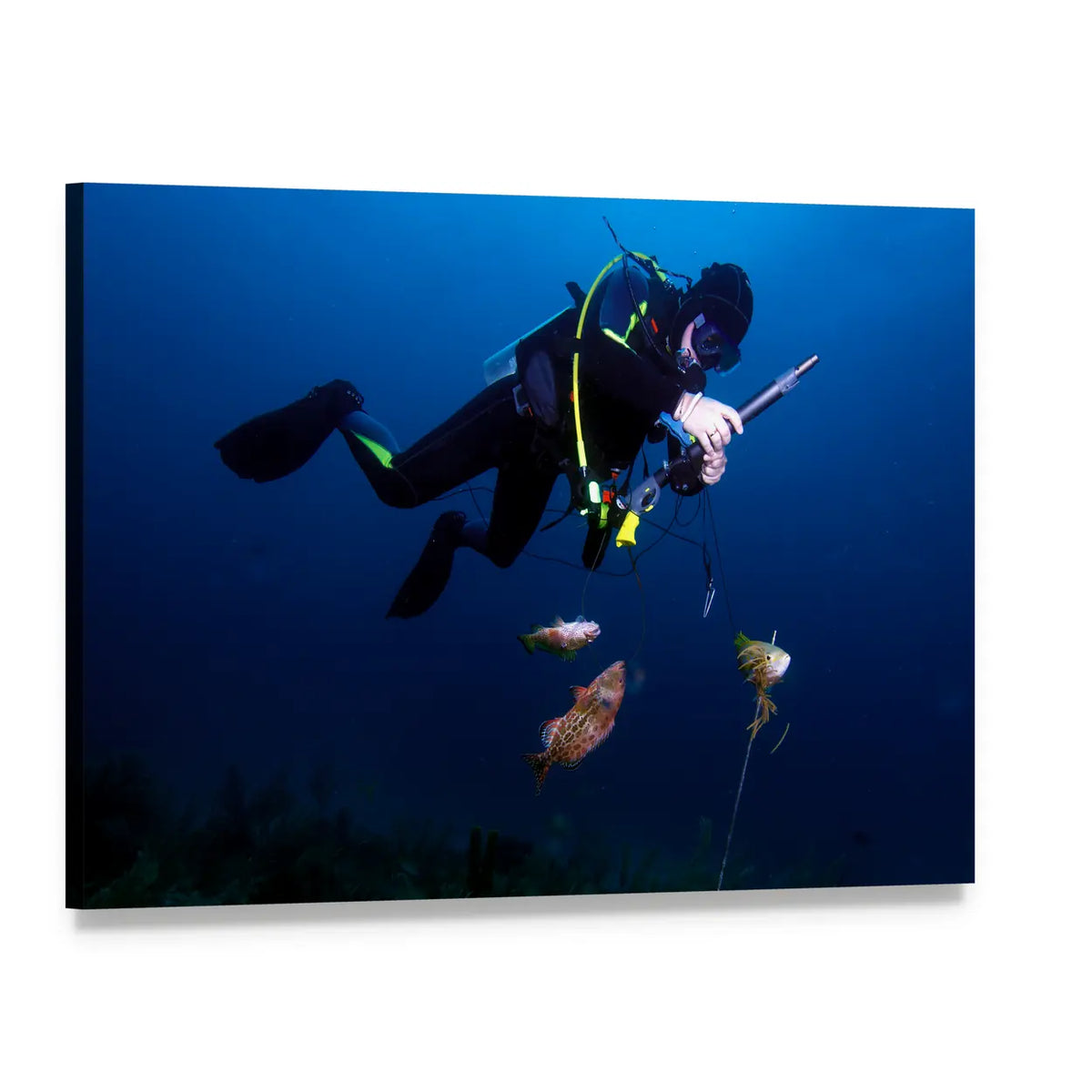 Spear Fisherman with Speargun Canvas Wall Art, single panel gallery wrapped canvas, angled product view