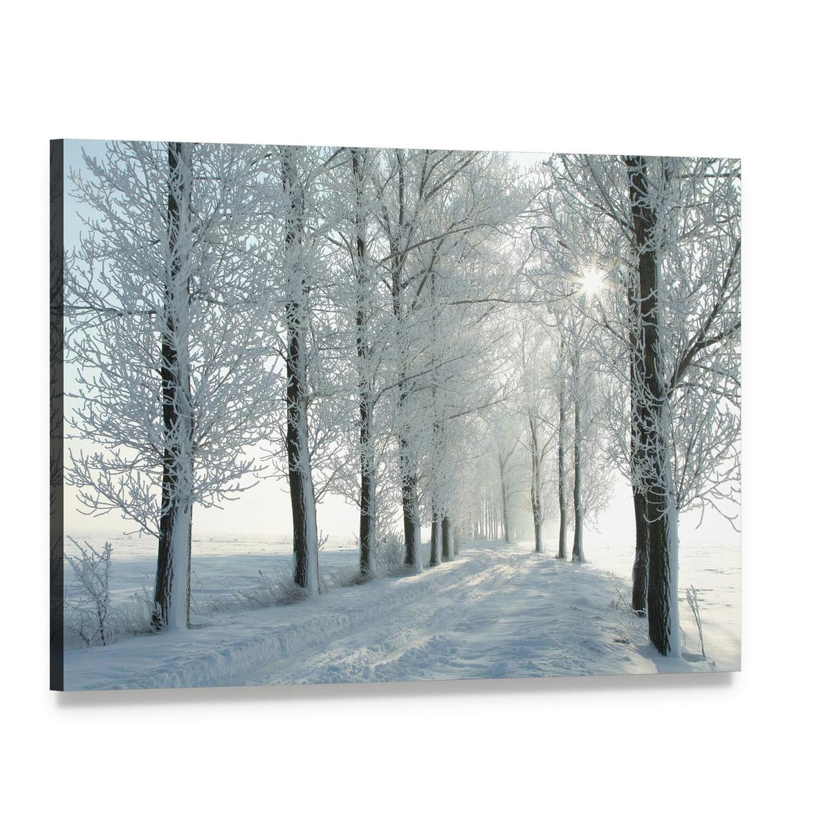 Country Road in Winter Canvas Wall Art, single panel gallery wrapped canvas, angled product view