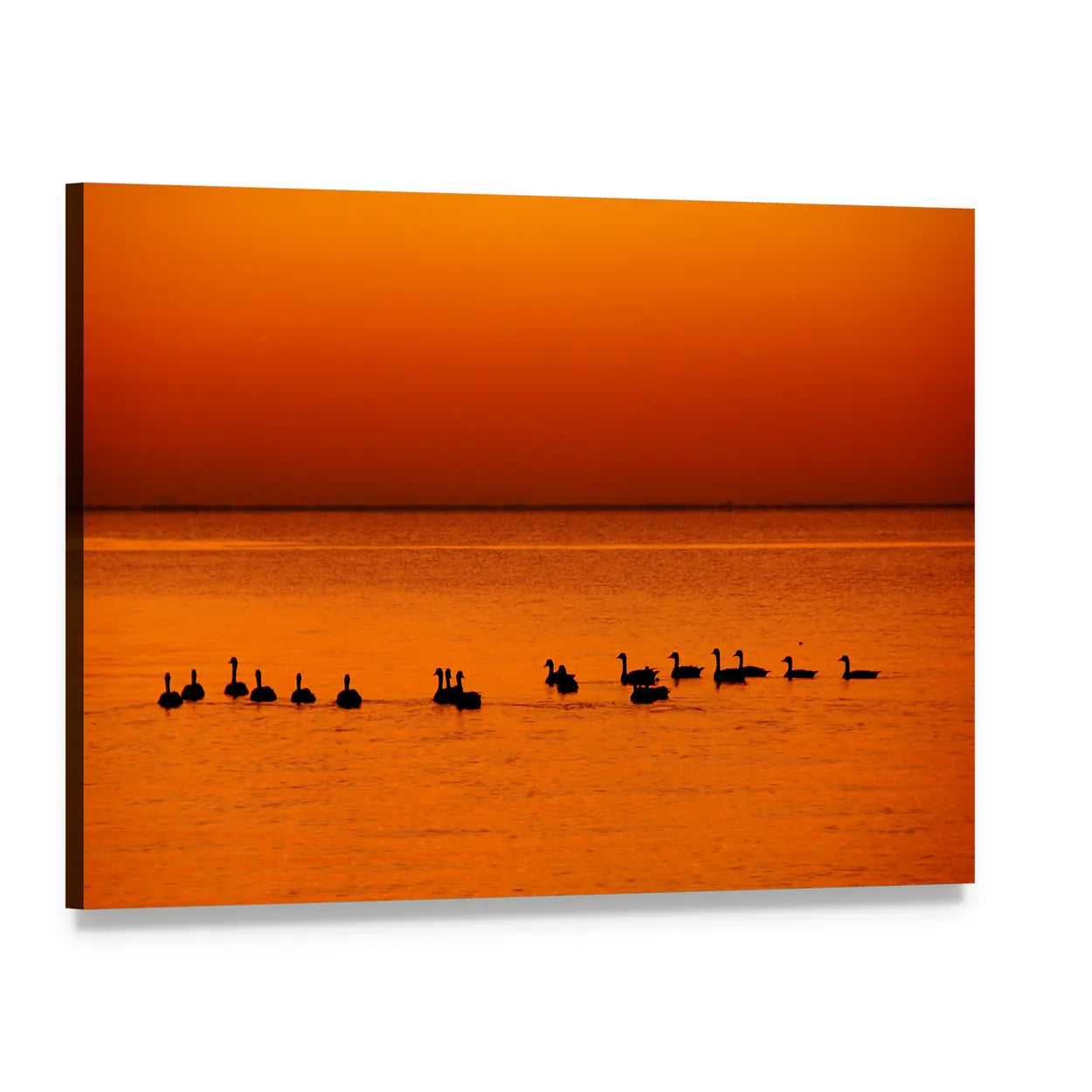 Family of Geese at Sunset Canvas Wall Art, single panel gallery wrapped canvas, angled product view