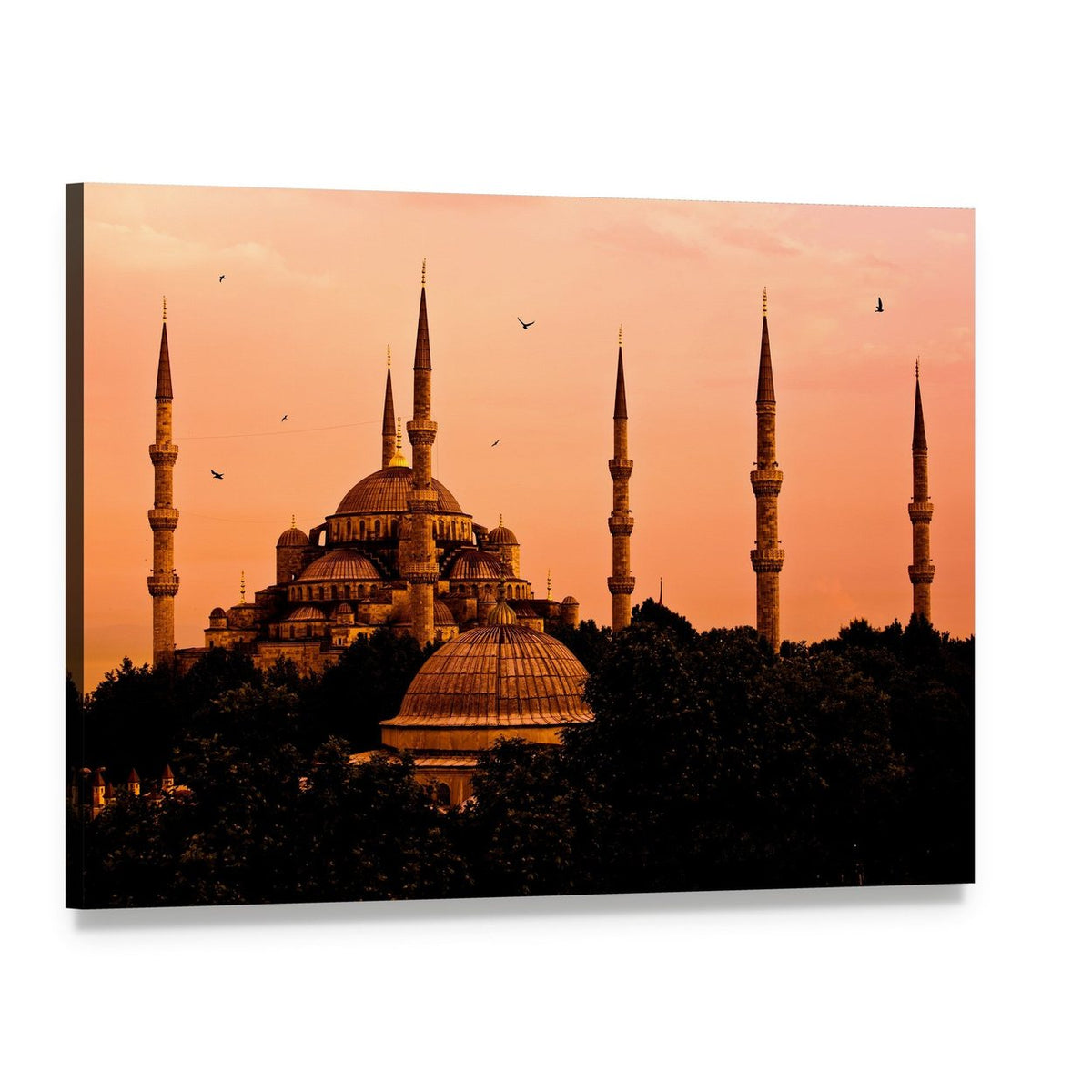 Blue Mosque in Istanbul Canvas Wall Art, single panel gallery wrapped canvas, angled product view