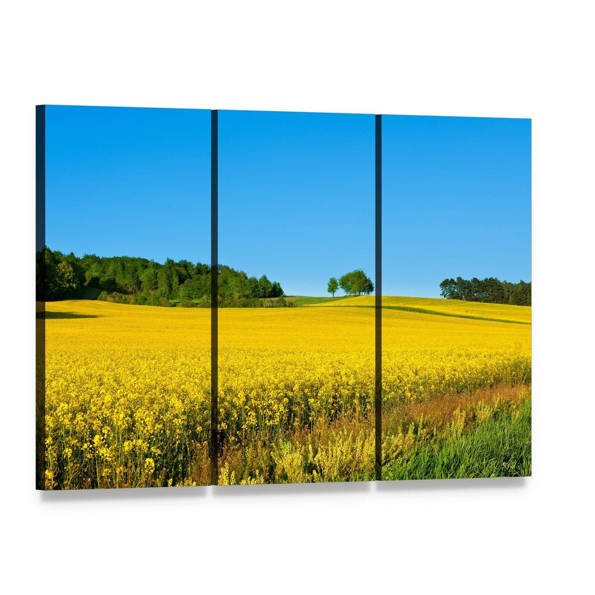 Rapeseed Field with Forest Canvas Wall Art, 3 panel 3 Horizontal layout gallery wrapped canvas set, angled product view