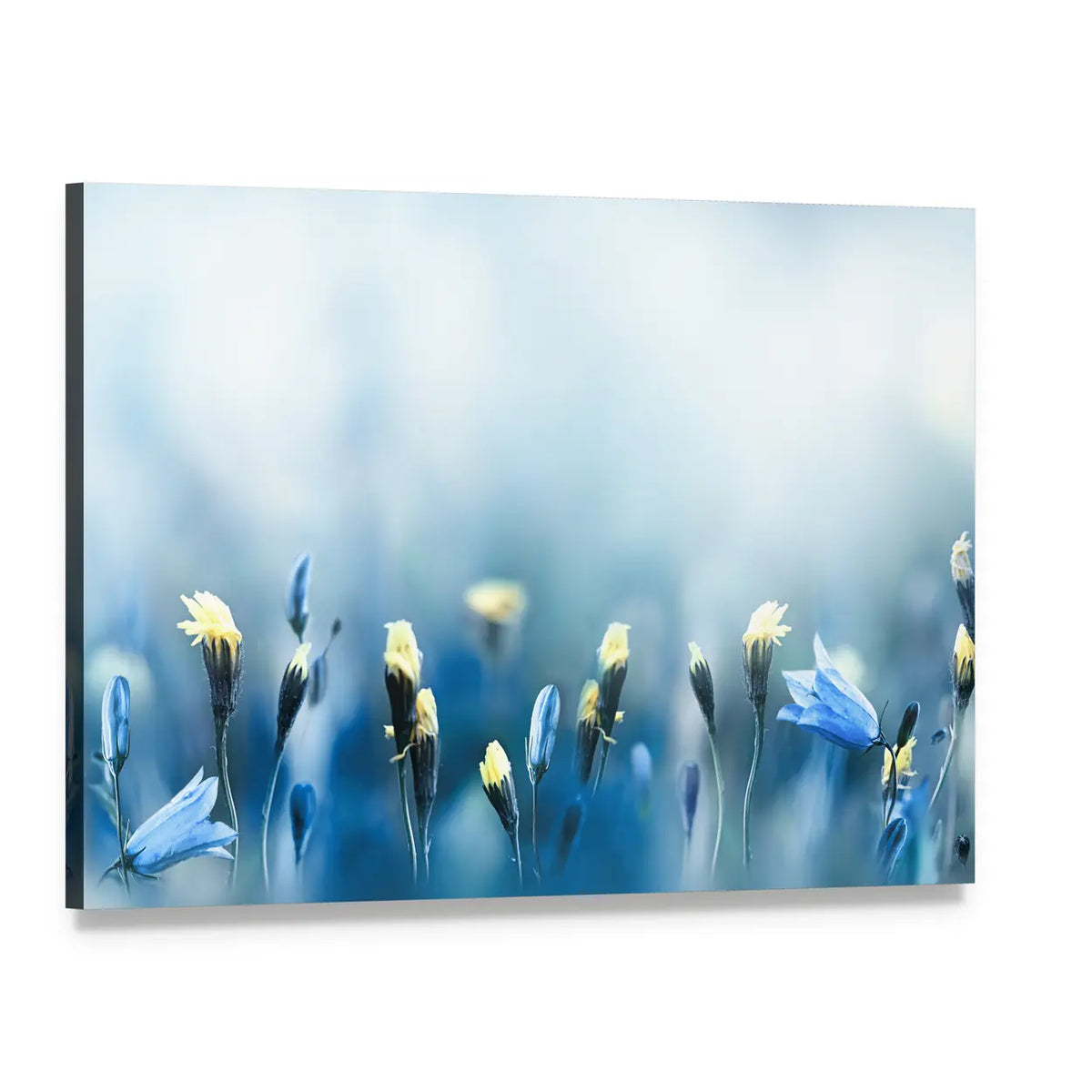 Yellow Dandelions Canvas Wall Art, single panel gallery wrapped canvas, angled product view