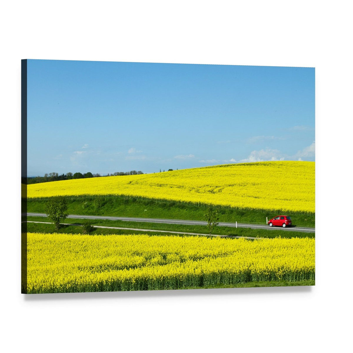 Red Car on Road Through Yellow Field Canvas Wall Art, single panel gallery wrapped canvas, angled product view