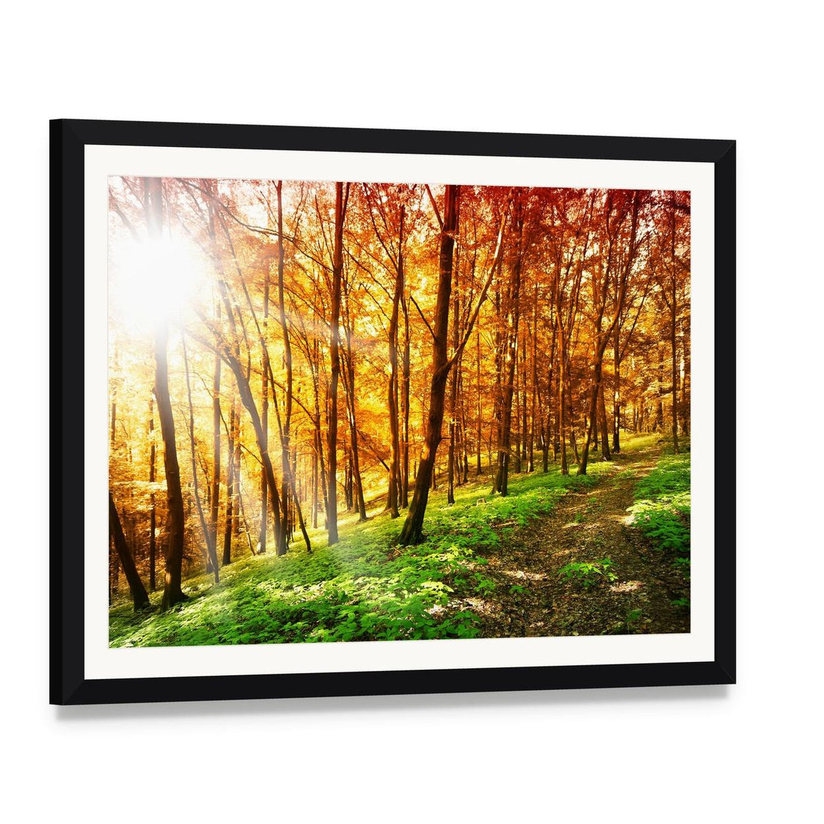 Sun in the Autumn Forest Canvas Wall Art, framed print with white mat and black frame, angled product view
