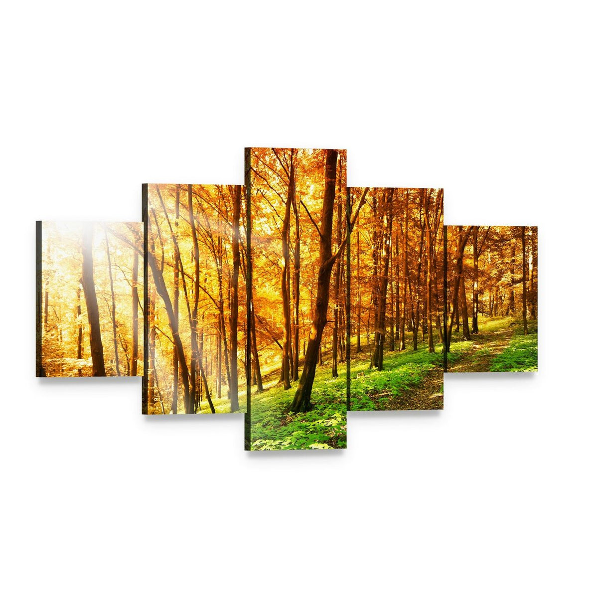 Sun in the Autumn Forest Canvas Wall Art, 5 panel 5 Star layout gallery wrapped canvas set, angled product view