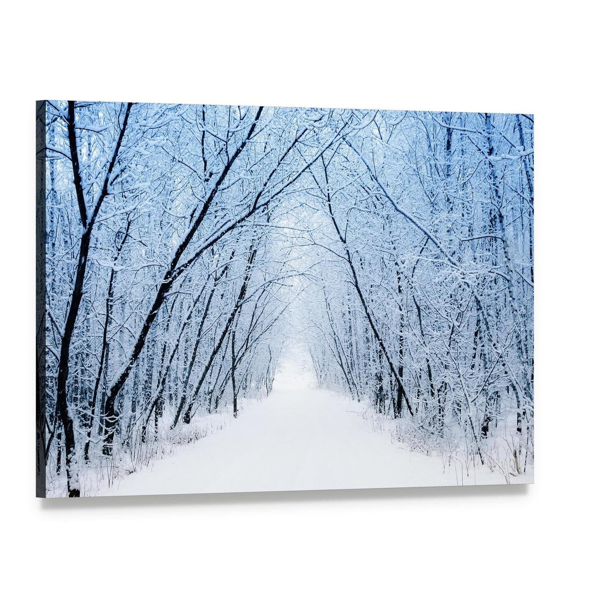 Pathway in Winter Canvas Wall Art, single panel gallery wrapped canvas, angled product view