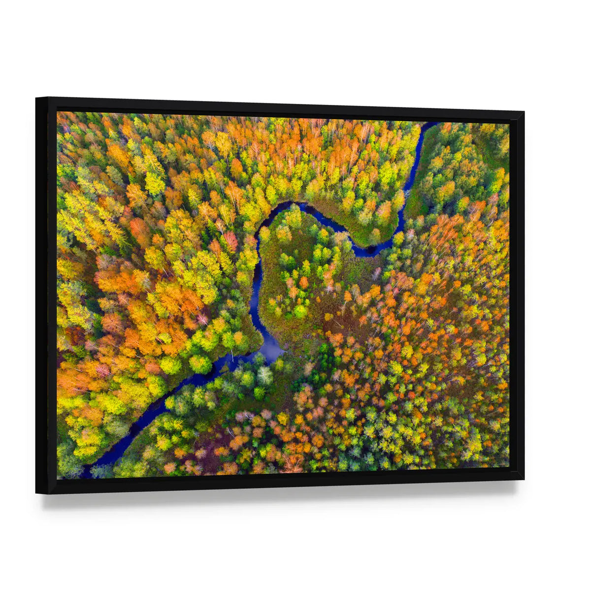 River In Autumn Forest Canvas Wall Art, framed canvas in a black floater frame, angled product view