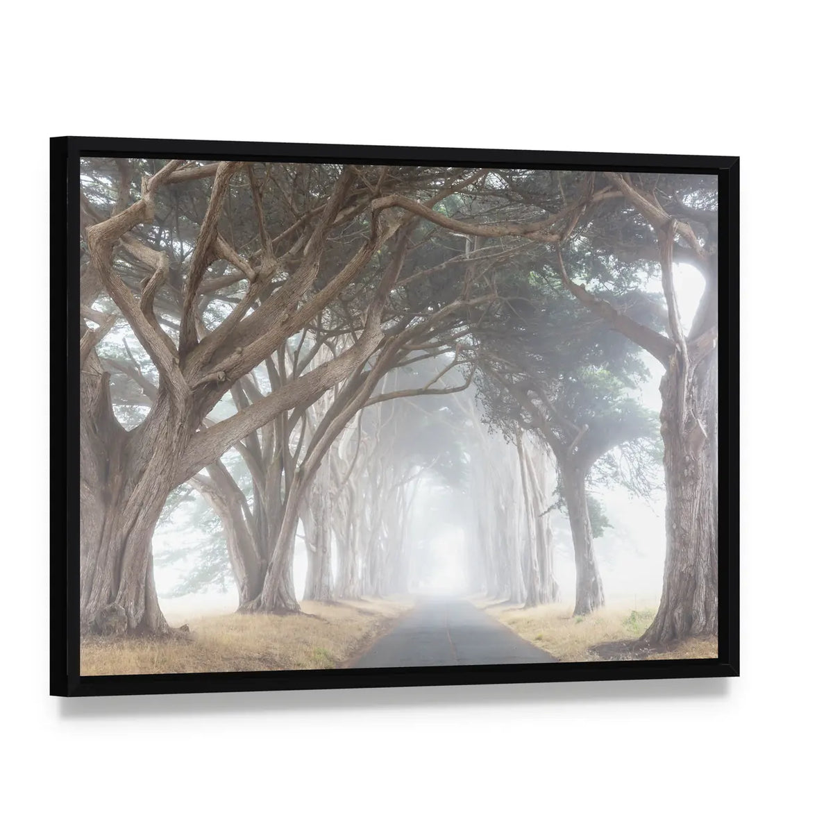 Misty Trees Alley In Foggy Weather Canvas Wall Art, framed canvas in a black floater frame, angled product view