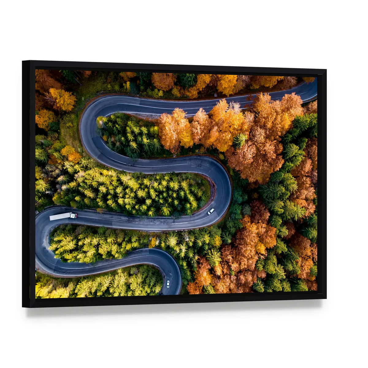 Winding Forest Road From Top Canvas Wall Art, framed canvas in a black floater frame, angled product view