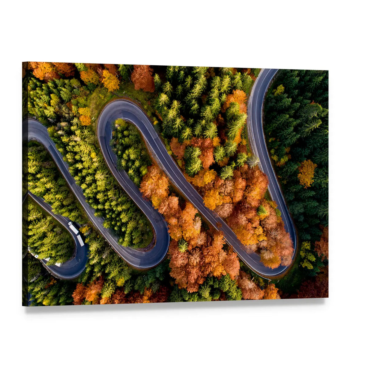 Serpentine Asphalt Road Canvas Wall Art, single panel gallery wrapped canvas, angled product view