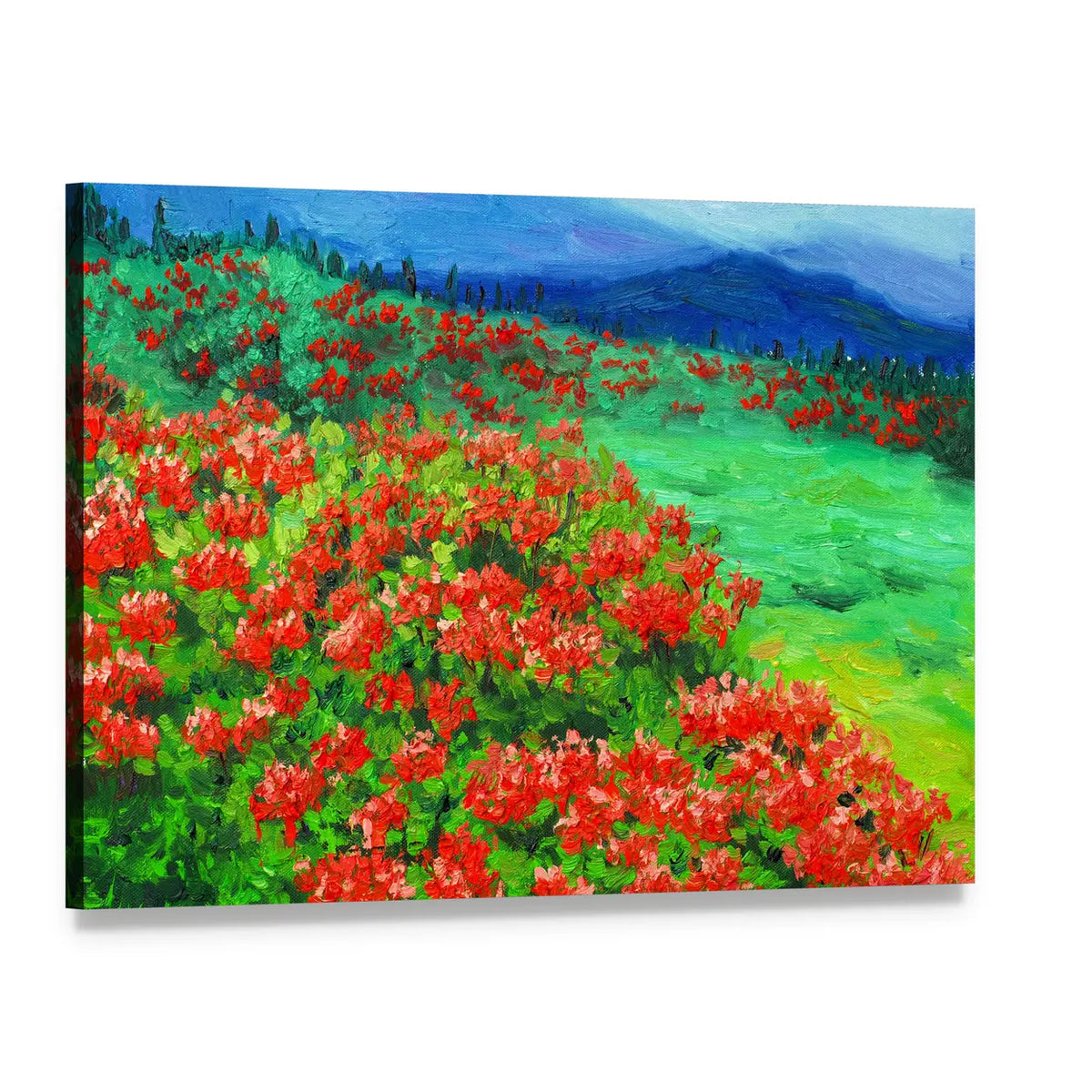 Oil Painted Wildflower Field Canvas Wall Art, single panel gallery wrapped canvas, angled product view