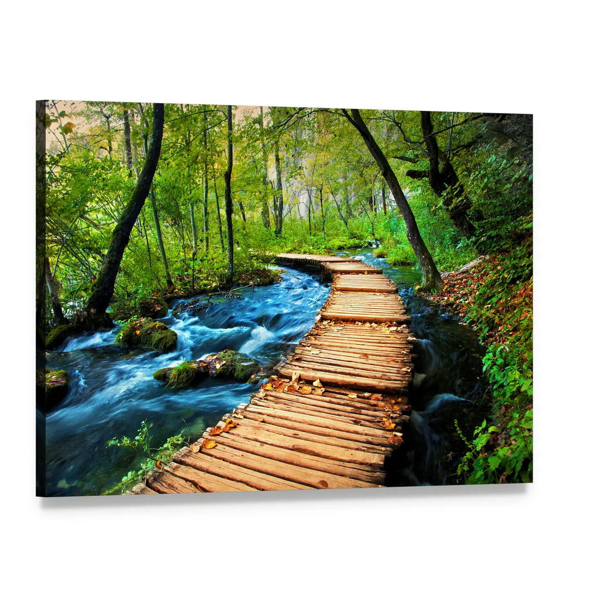 Wooden Boardwalk by Forest Stream Canvas Wall Art, single panel gallery wrapped canvas, angled product view