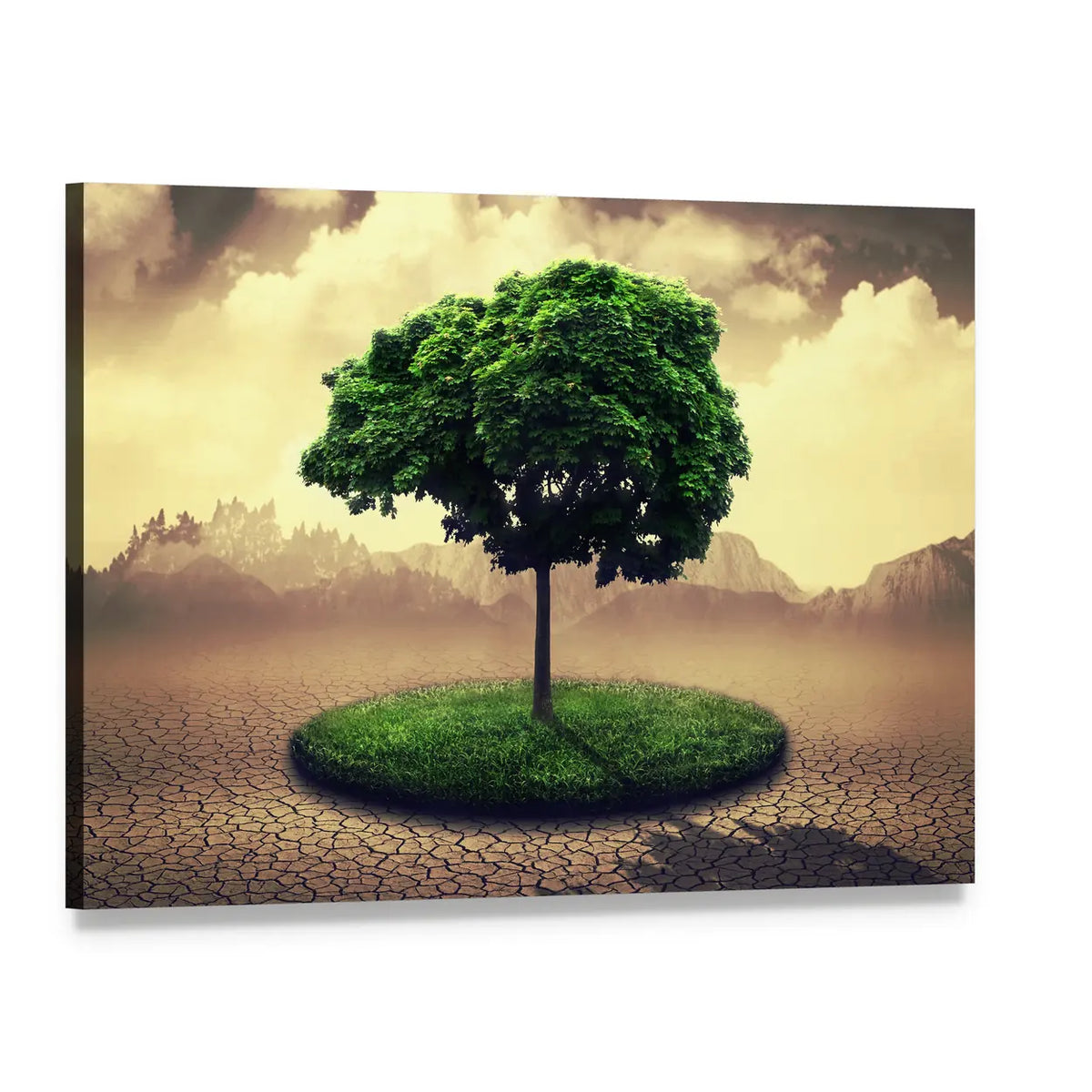 Lone Tree on Cracked Earth Canvas Wall Art, single panel gallery wrapped canvas, angled product view