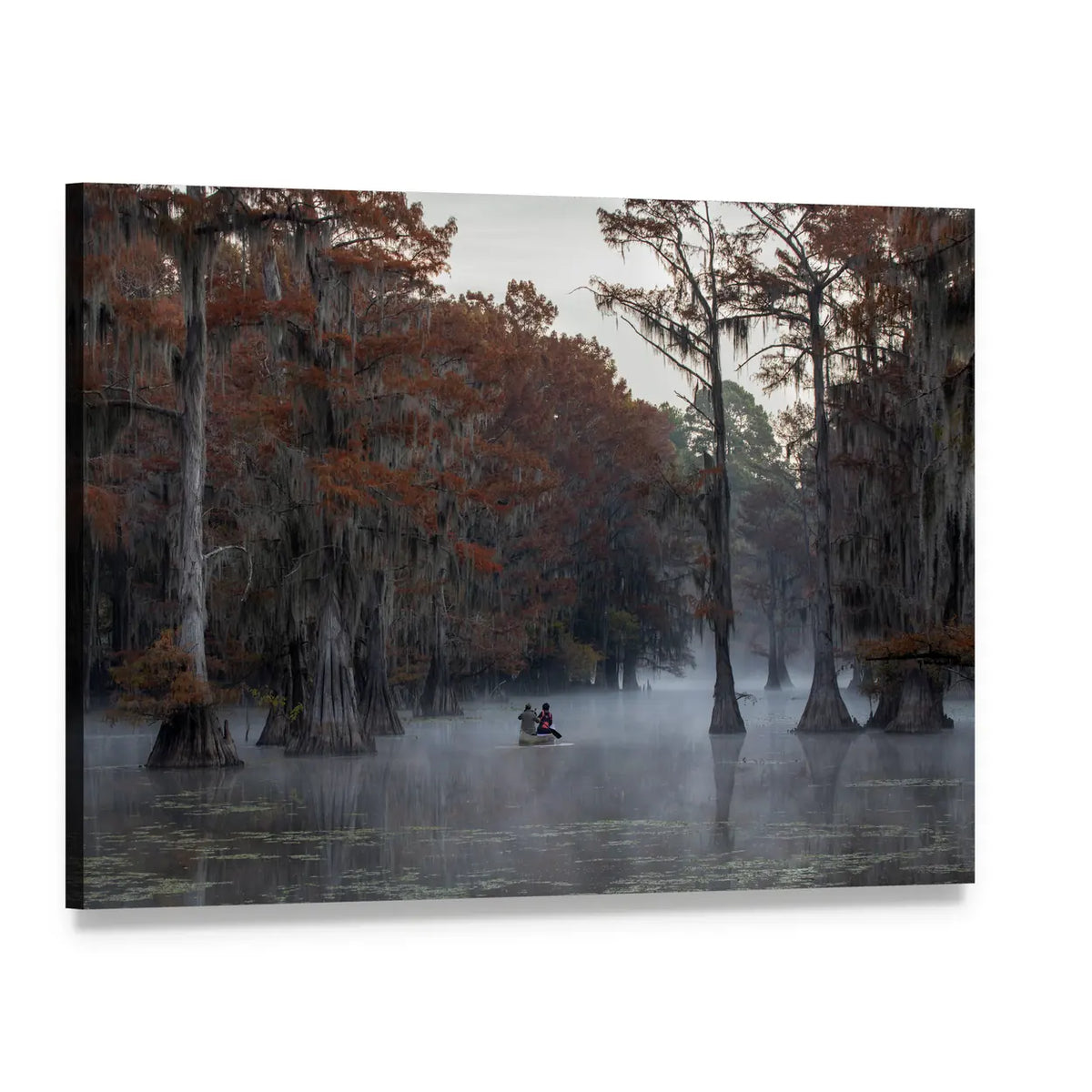 Couple Canoing At Caddo Lake In Texas Louisiana Canvas Wall Art, single panel gallery wrapped canvas, angled product view