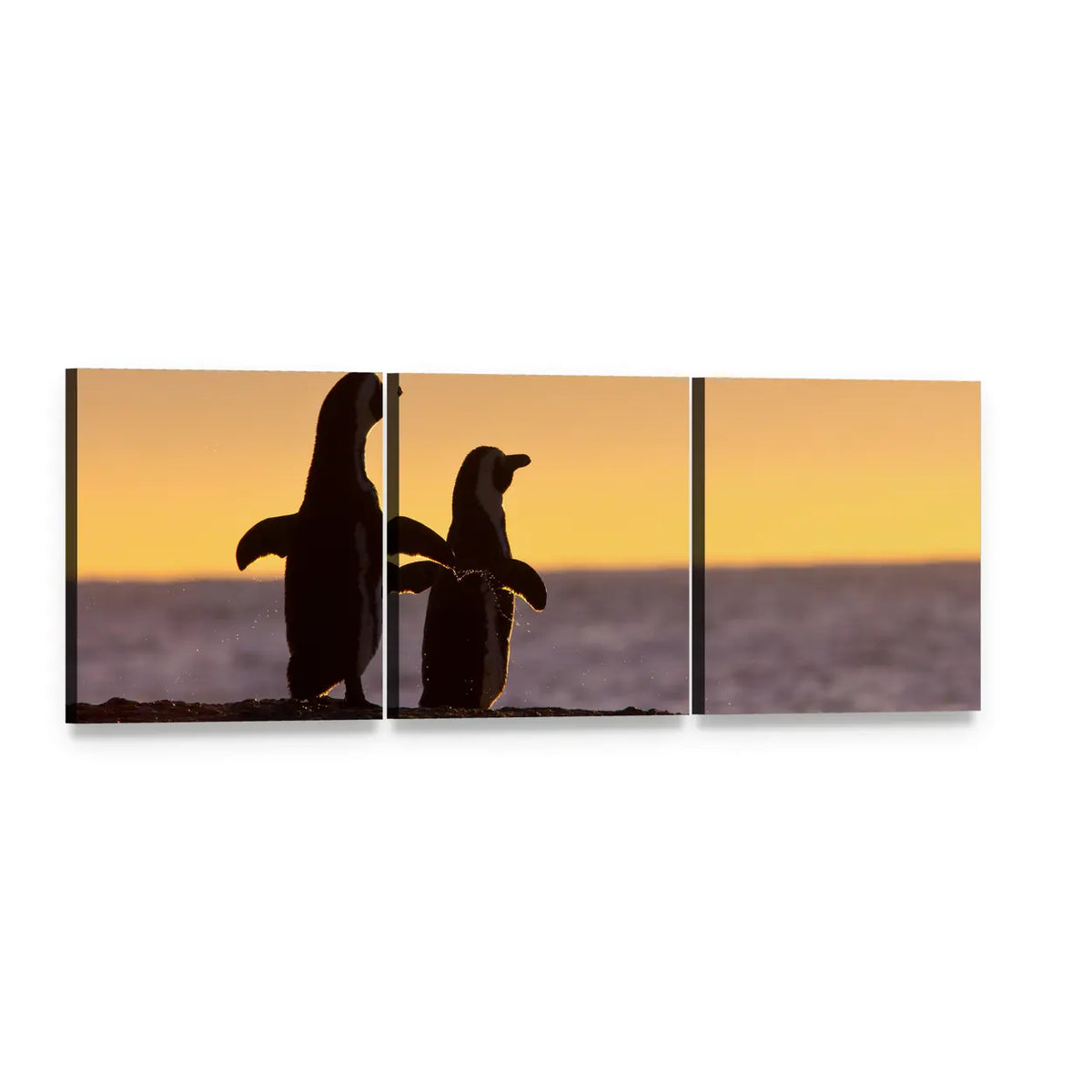 Two Penguin Silhouettes at Golden Sunset Panoramic Canvas Wall Art, 3 panel 3 Piece layout gallery wrapped canvas set, angled product view