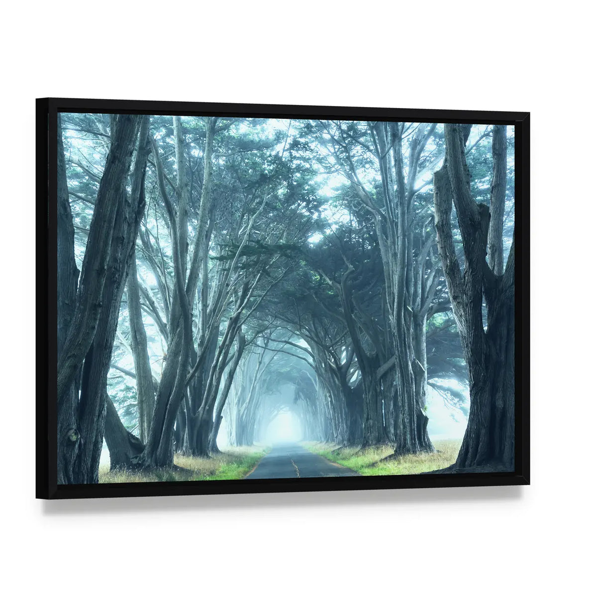 Misty Trees Alley In Foggy Weather Canvas Wall Art, framed canvas in a black floater frame, angled product view