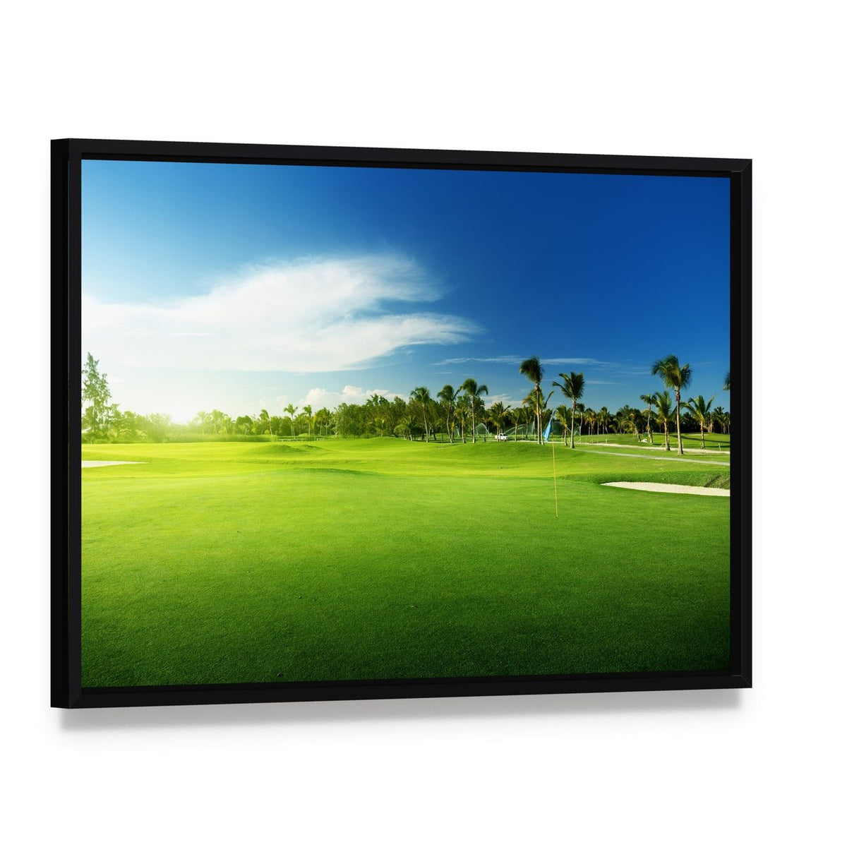 Golf Courses in Dominican Republic Canvas Wall Art, framed canvas in a black floater frame, angled product view