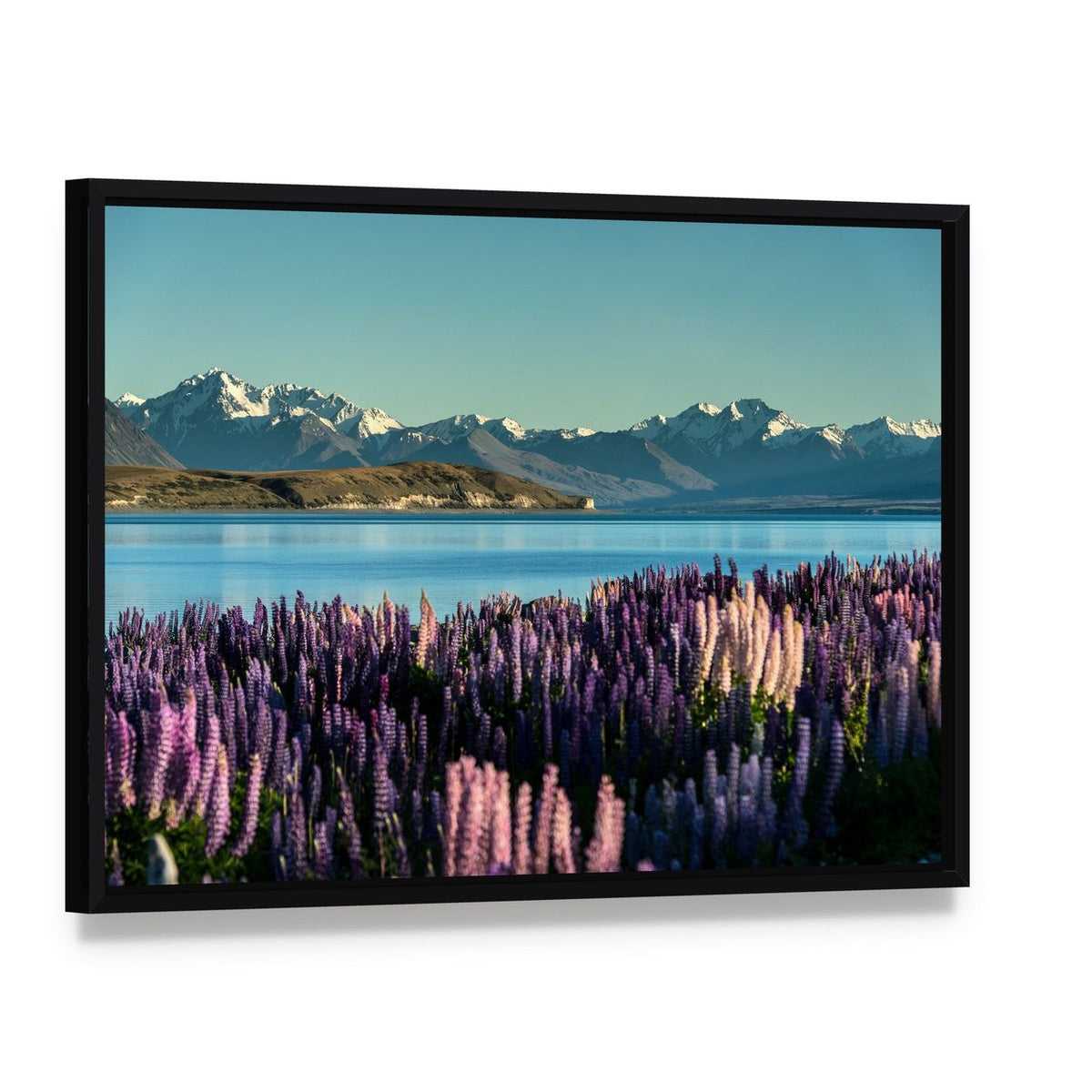 Lake Tekapo Purple Lupine Field Canvas Wall Art, framed canvas in a black floater frame, angled product view