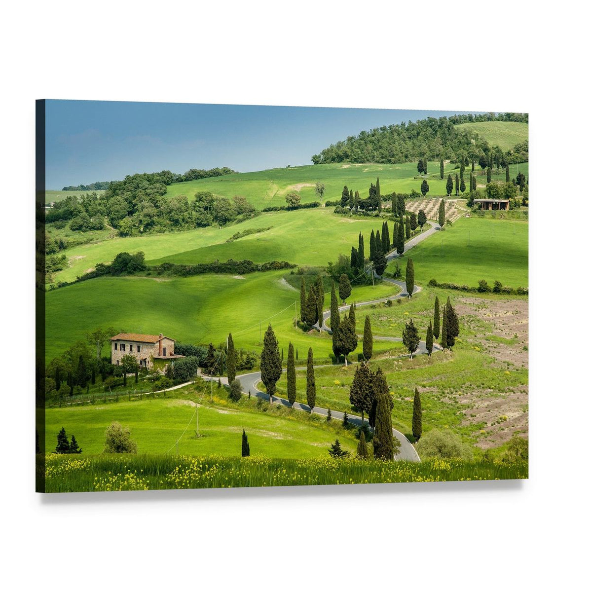 Winding Road with Cypress Trees Canvas Wall Art, single panel gallery wrapped canvas, angled product view