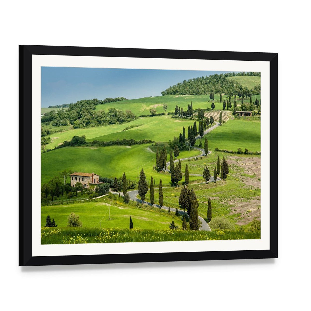 Winding Road with Cypress Trees Canvas Wall Art, framed print with white mat and black frame, angled product view