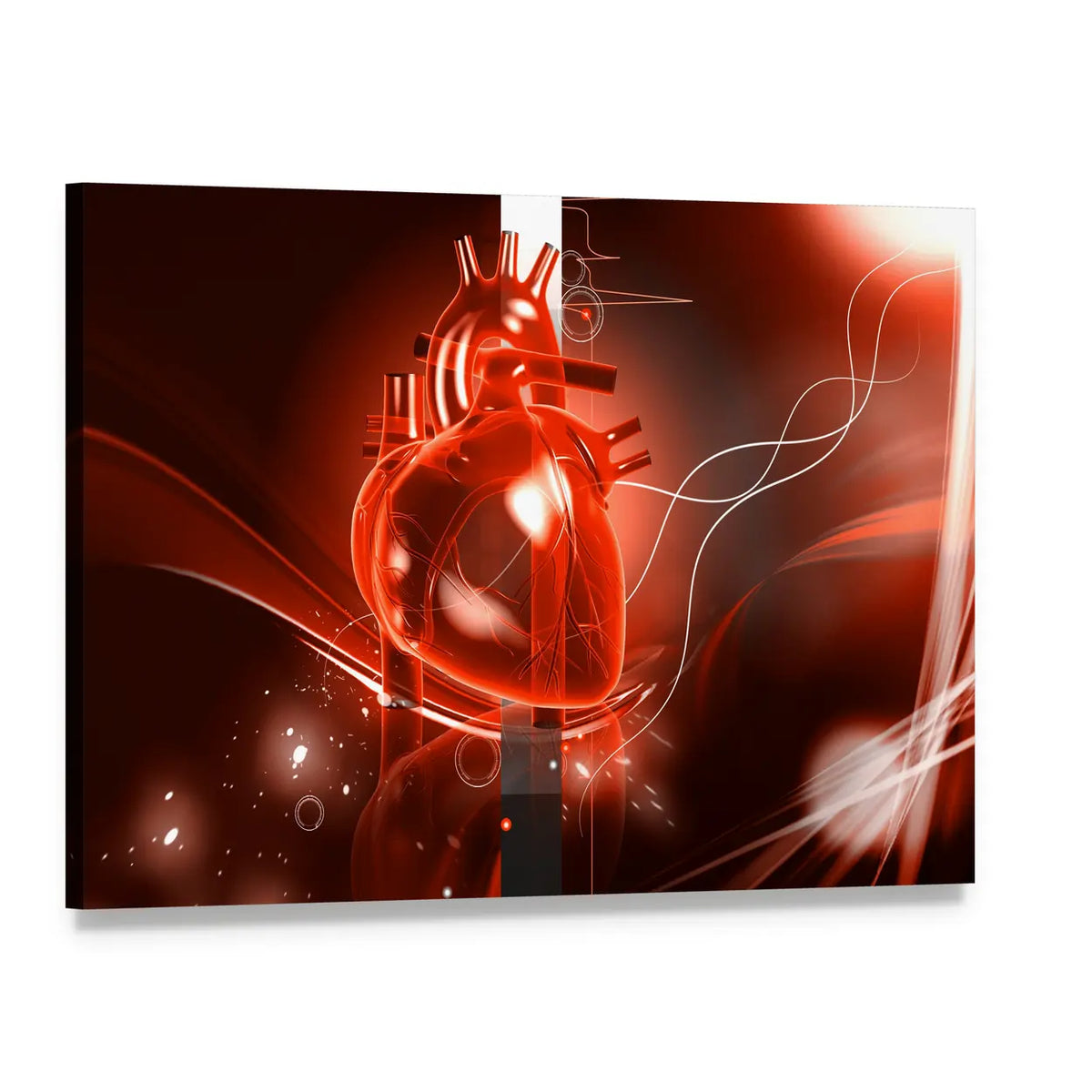 Glowing Anatomical Heart Illustration Canvas Wall Art, single panel gallery wrapped canvas, angled product view