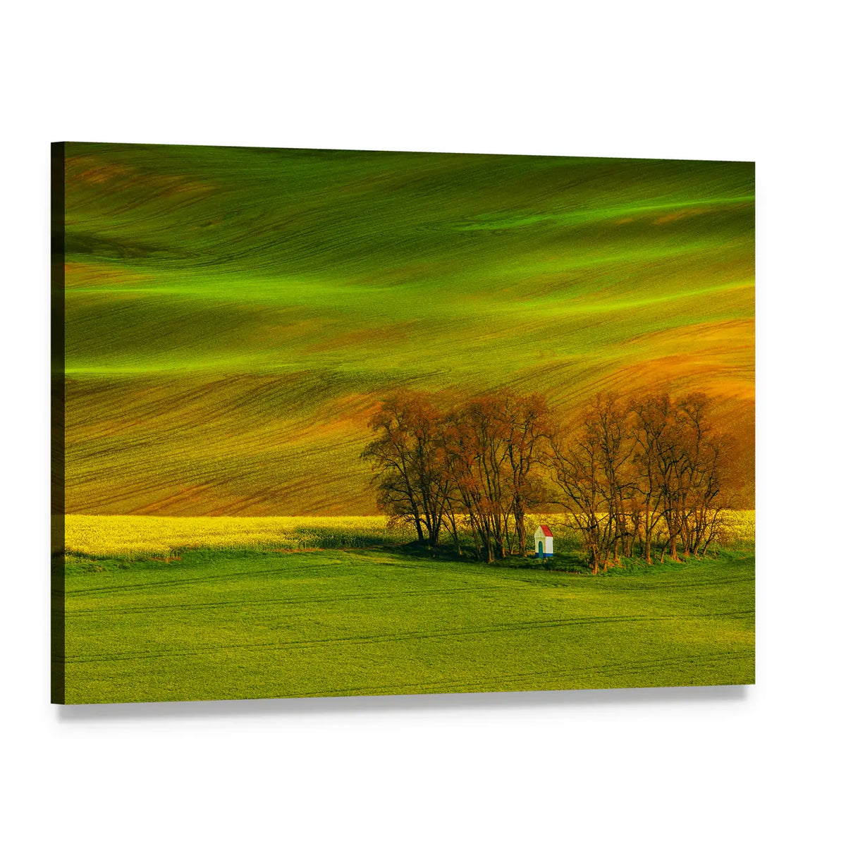 Rolling Hills In South Moravia Czech Republic Canvas Wall Art, single panel gallery wrapped canvas, angled product view