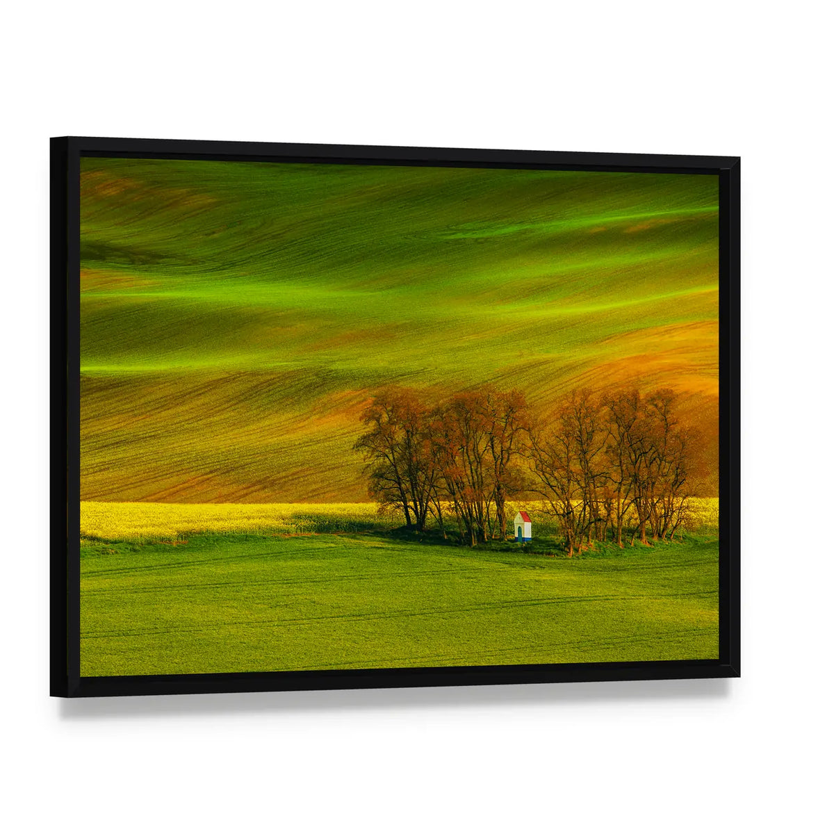 Rolling Hills In South Moravia Czech Republic Canvas Wall Art, framed canvas in a black floater frame, angled product view