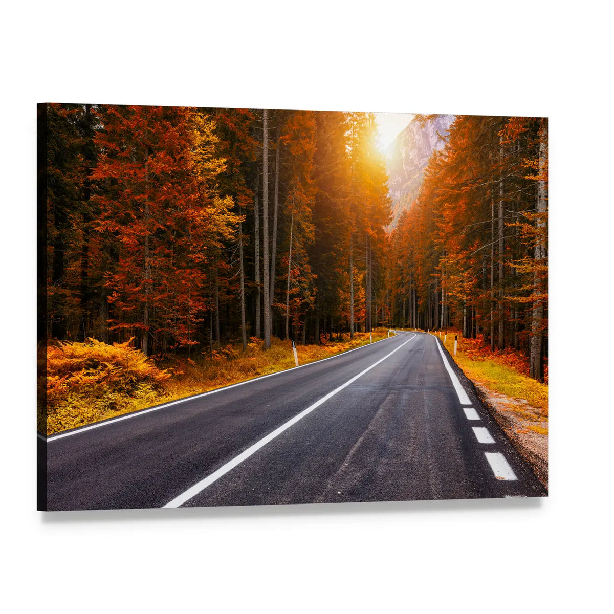 Asphalt Roads In Italian Alps In South Tyrol Canvas Wall Art, single panel gallery wrapped canvas, angled product view