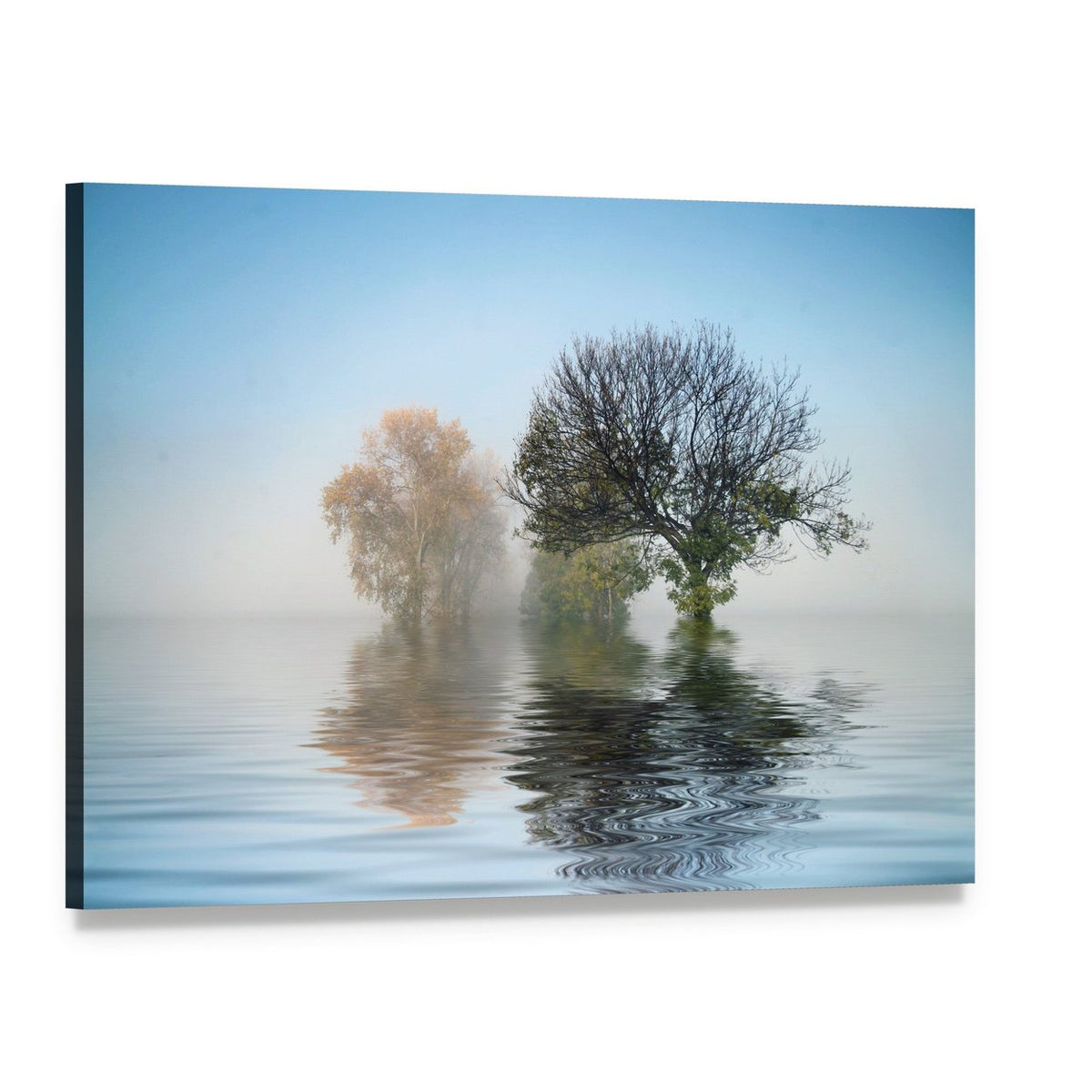 Misty Lake Trees with Autumn Foliage Canvas Wall Art, single panel gallery wrapped canvas, angled product view